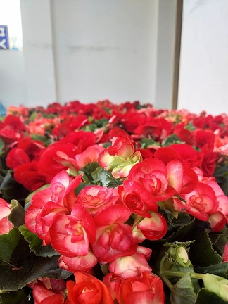 微信图片_20201020150944.jpg